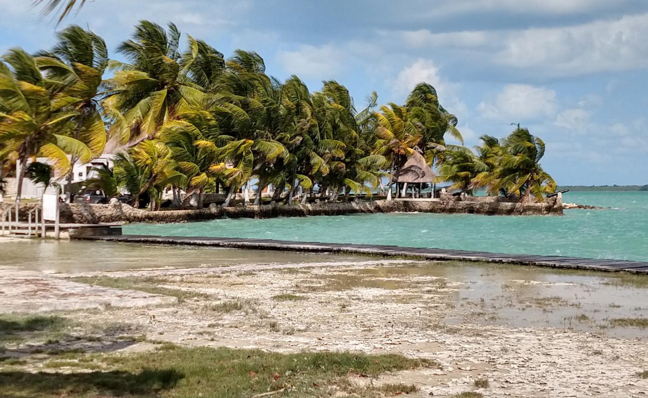 Foto de Calderitas beach con arena gris y piedras superficie