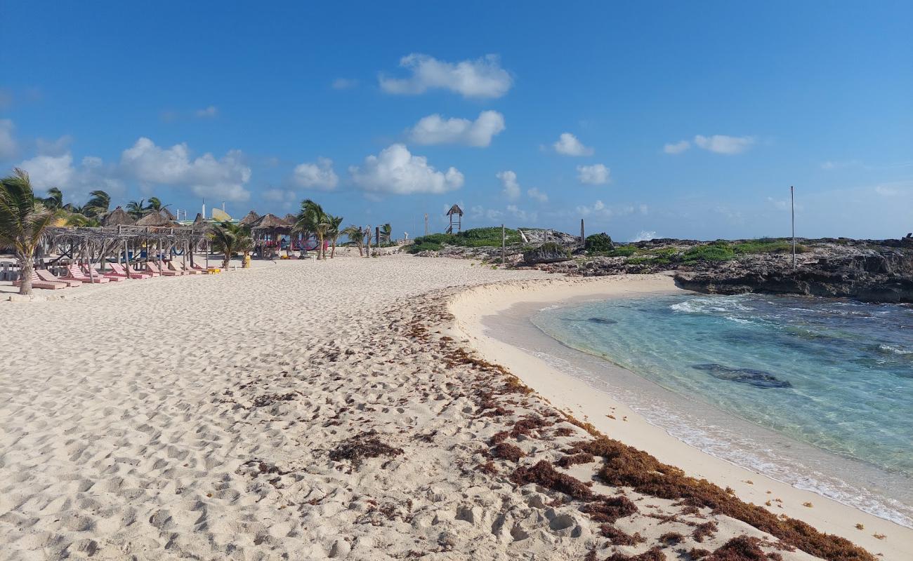 Foto de Playa Punta Morena con brillante arena fina superficie