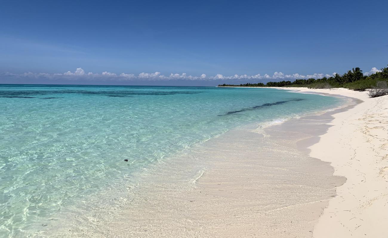 Foto de Playa "El Cielo" con brillante arena fina superficie