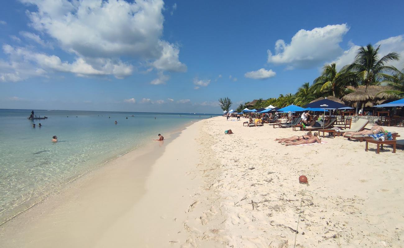 Foto de Playa Palancar con brillante arena fina superficie