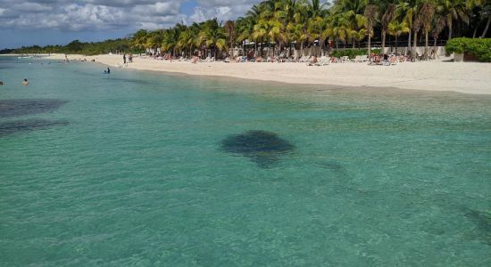 Occidental Cozumel