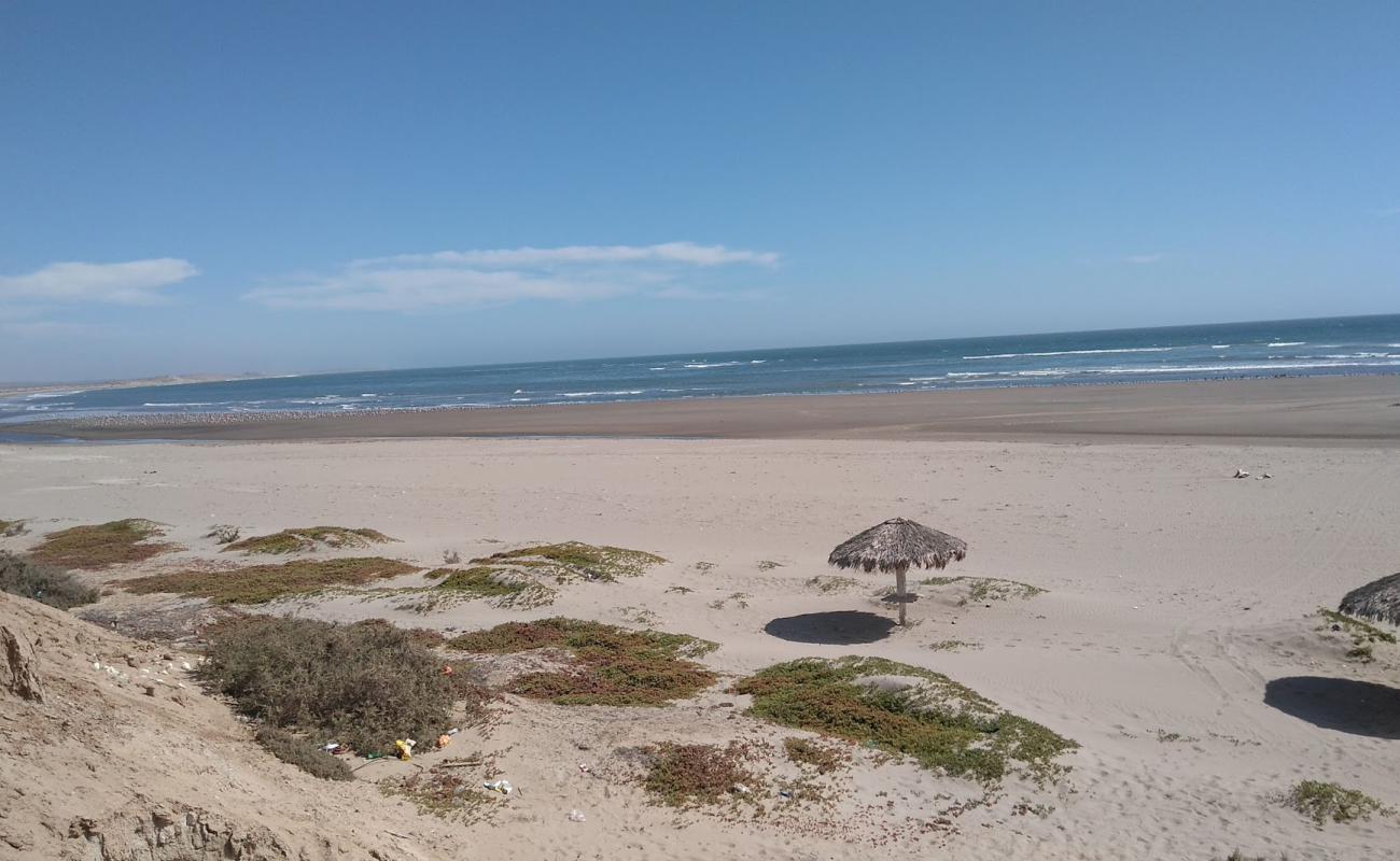 Foto de Las Barrancas Beach con arena oscura superficie