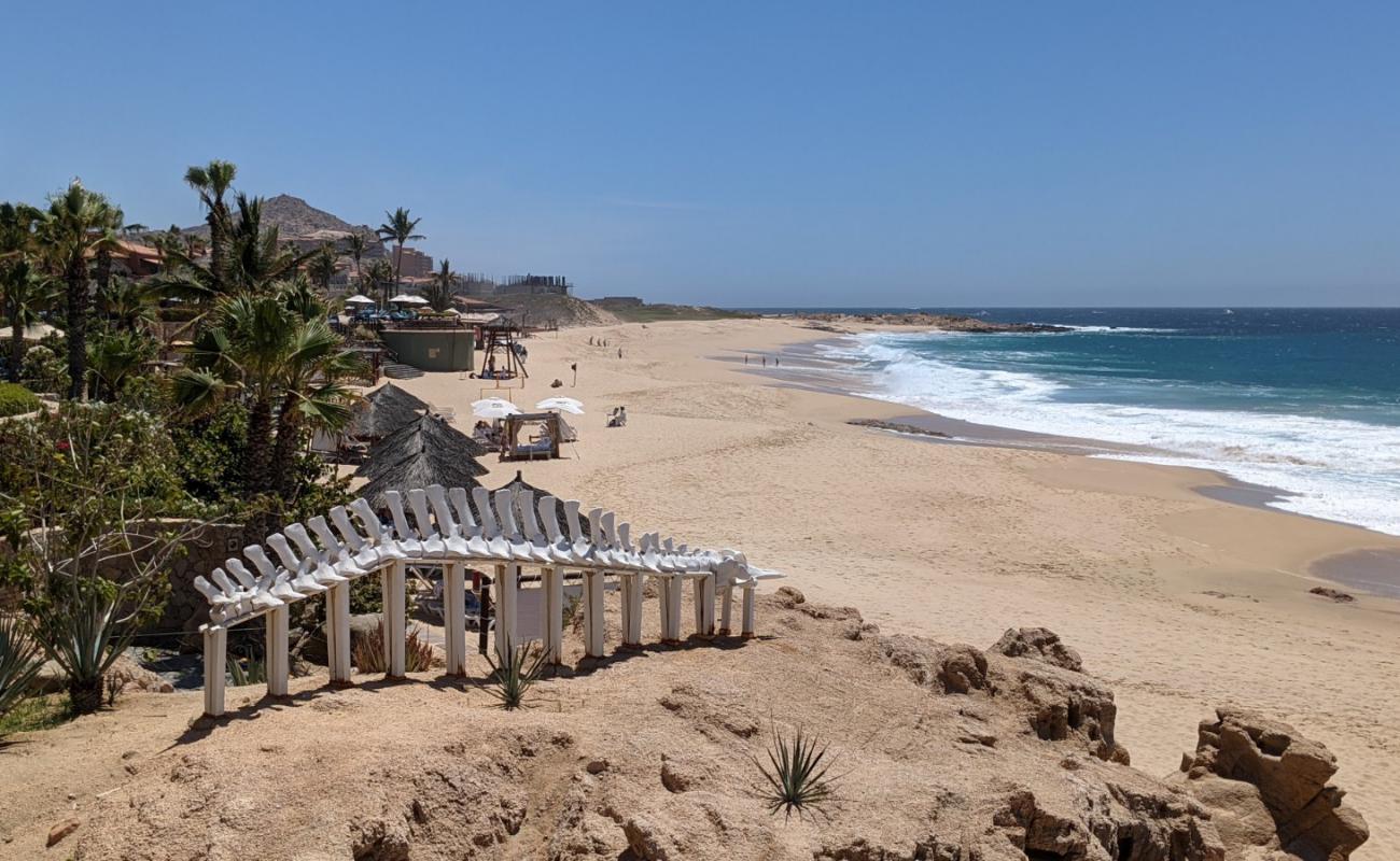 Foto de Playa Sheraton los Cabos con brillante arena fina superficie