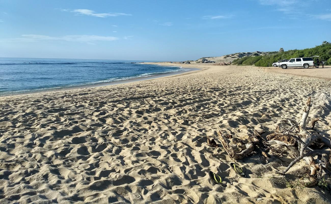 Foto de Nine Palms con brillante arena fina superficie