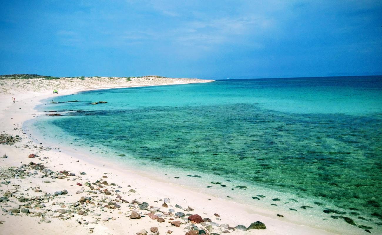 Foto de Playa Pulguero Tepetates con arena fina y guijarros superficie