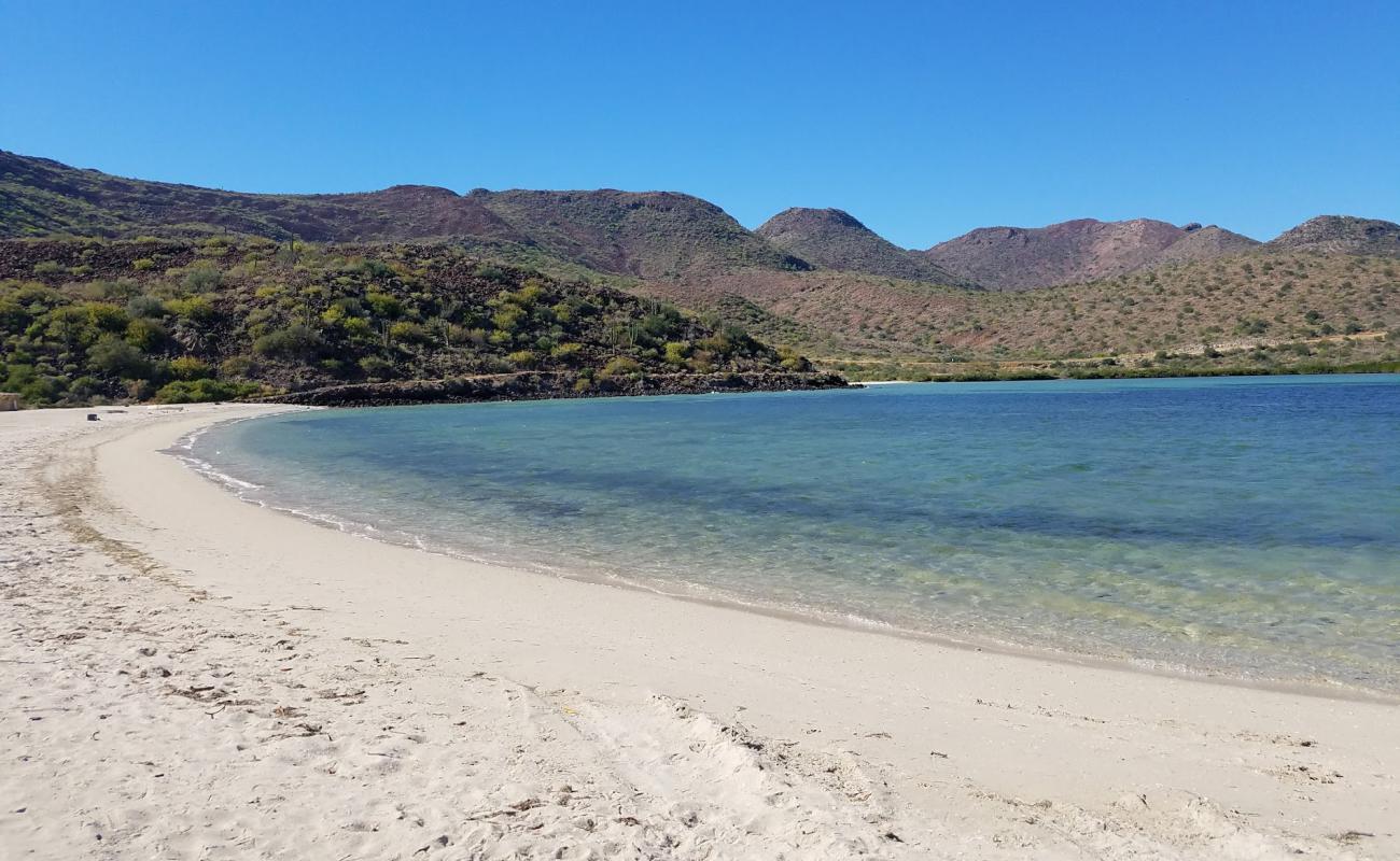 Foto de La playa de El Requesón con brillante arena fina superficie