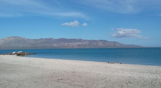 Playa Los Naranjos