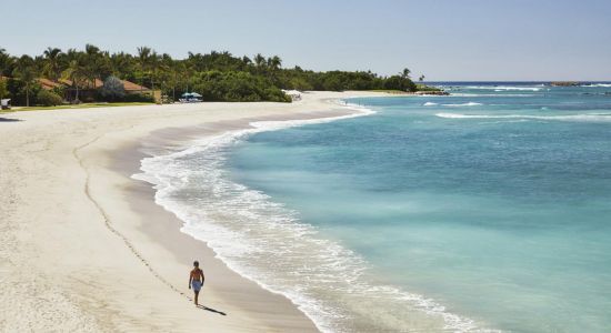 Playa Punta Mita II