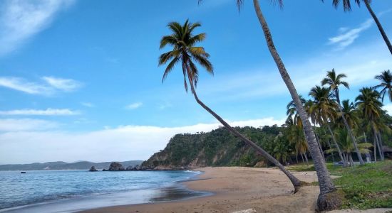 Playa El Tamarindo