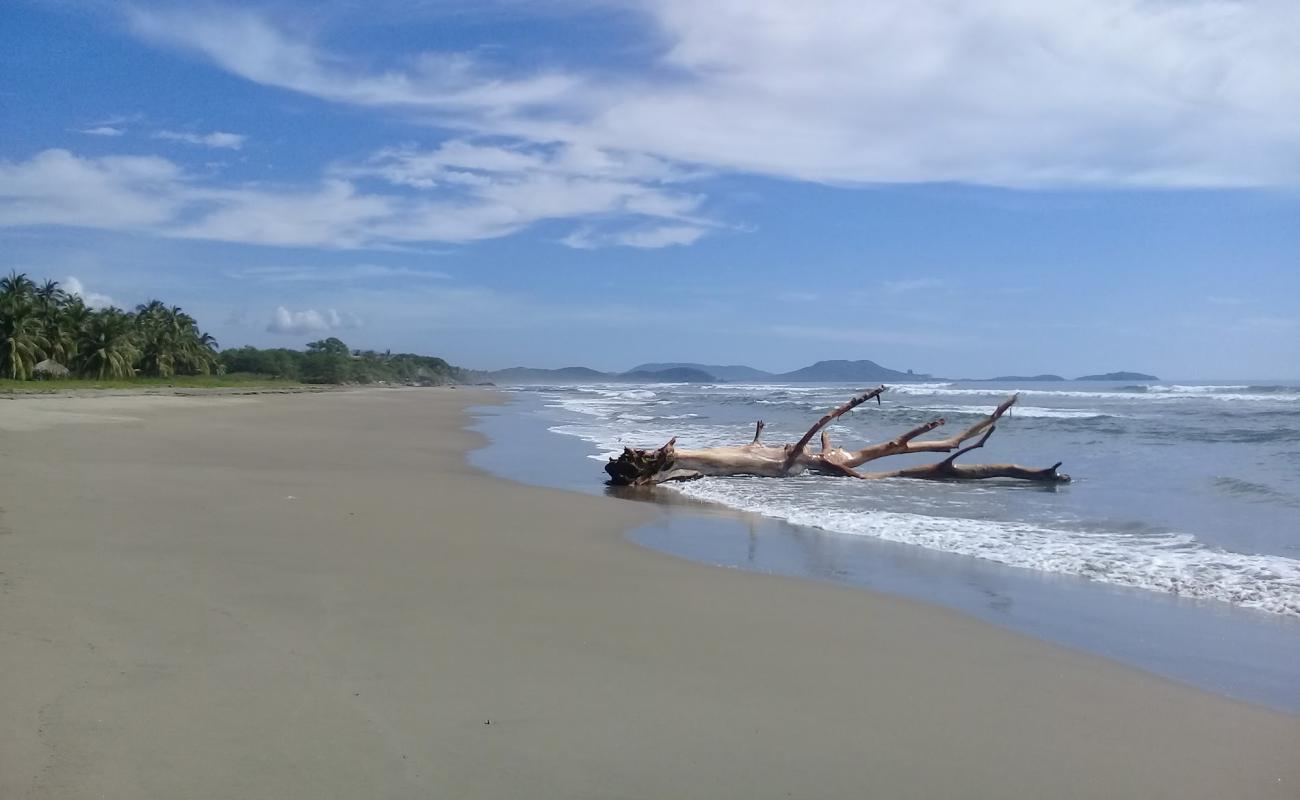 Foto de Playa Buenavista con arena brillante superficie