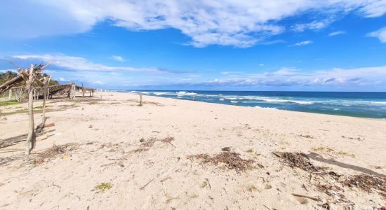 Playa Mata de Mangle