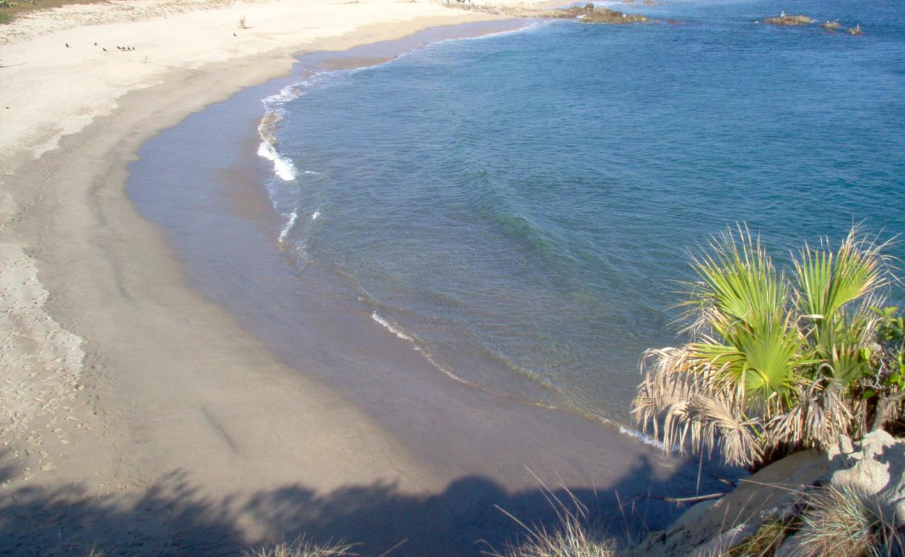 Foto de Playa del sur con arena brillante superficie