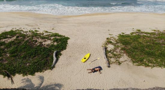 Playa Delfín