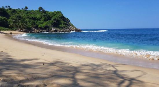 Playa de Coral