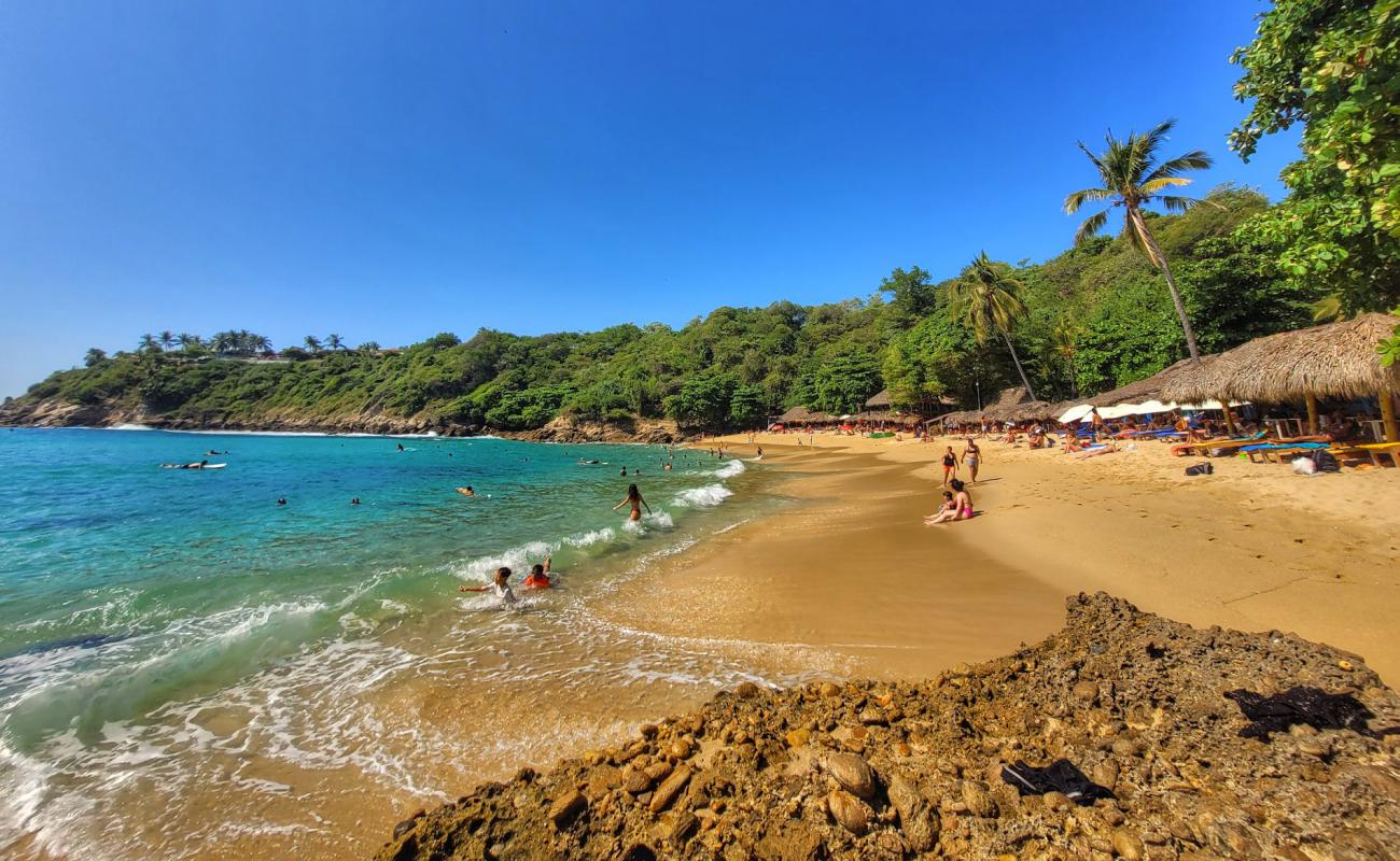 Foto de Playa Carrizalillo con brillante arena fina superficie