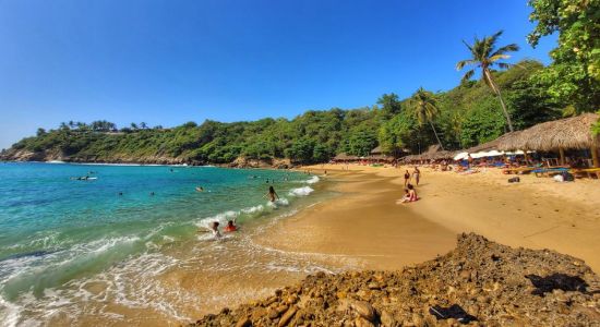 Playa Carrizalillo