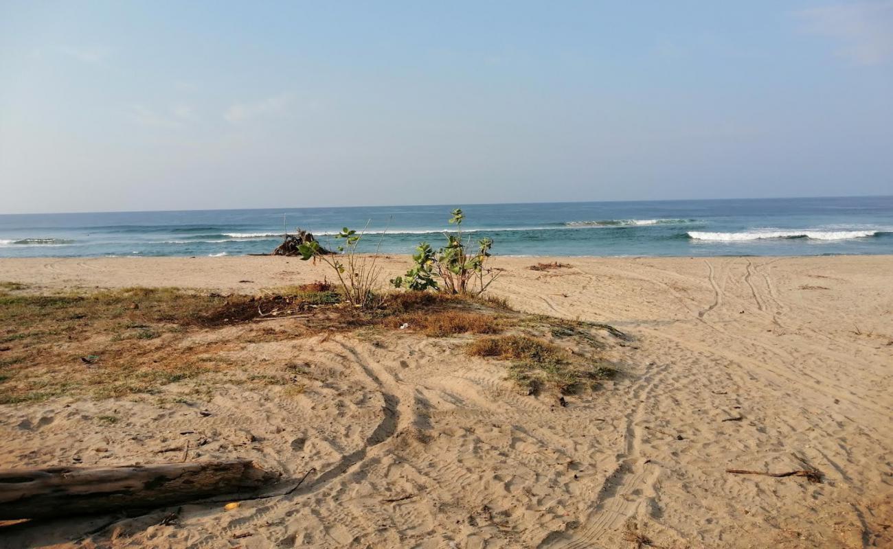 Foto de Playa Los Naranjos con brillante arena fina superficie