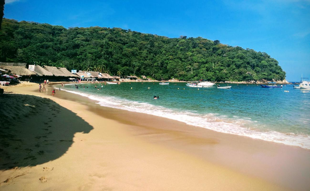 Foto de Playa Maguey con brillante arena fina superficie