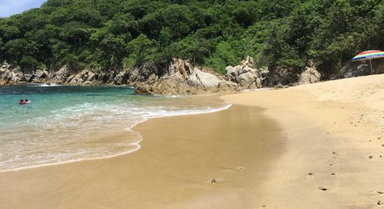 Playa Violin Huatulco