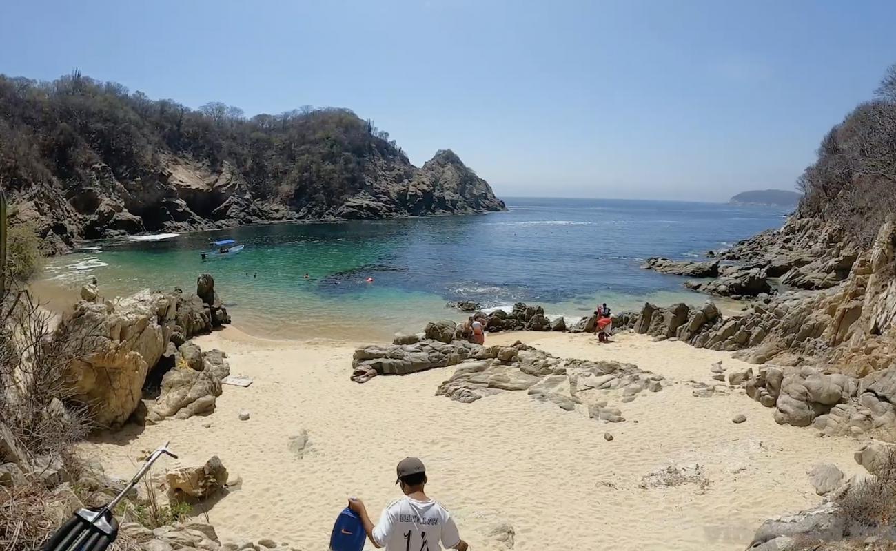 Foto de Playa Violin con guijarro fino claro superficie