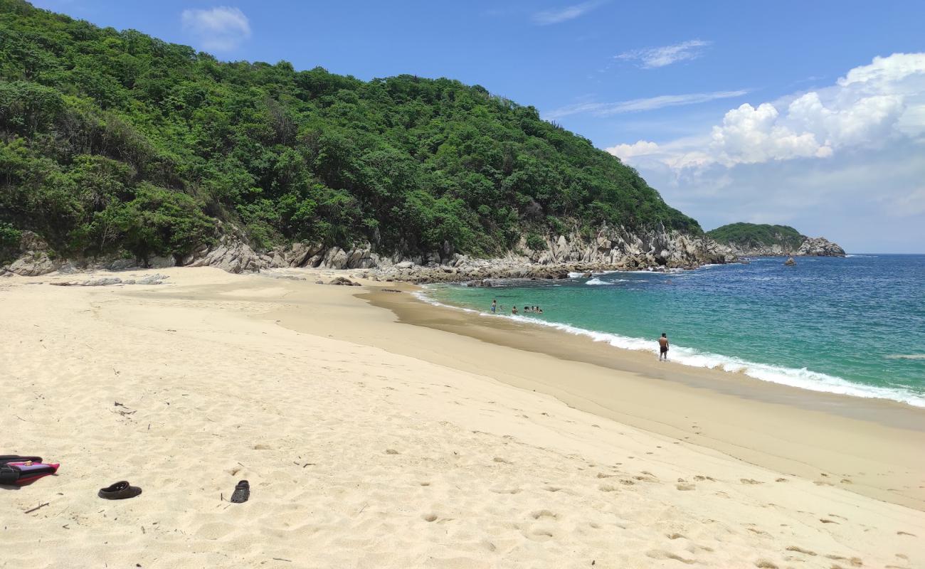 Foto de Tejon beach con guijarro fino claro superficie