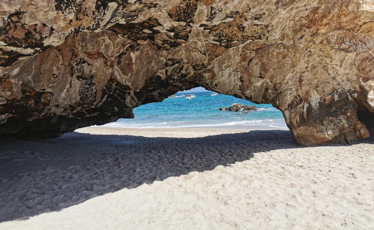 Foto de Playa la nopalera beach con brillante arena fina superficie