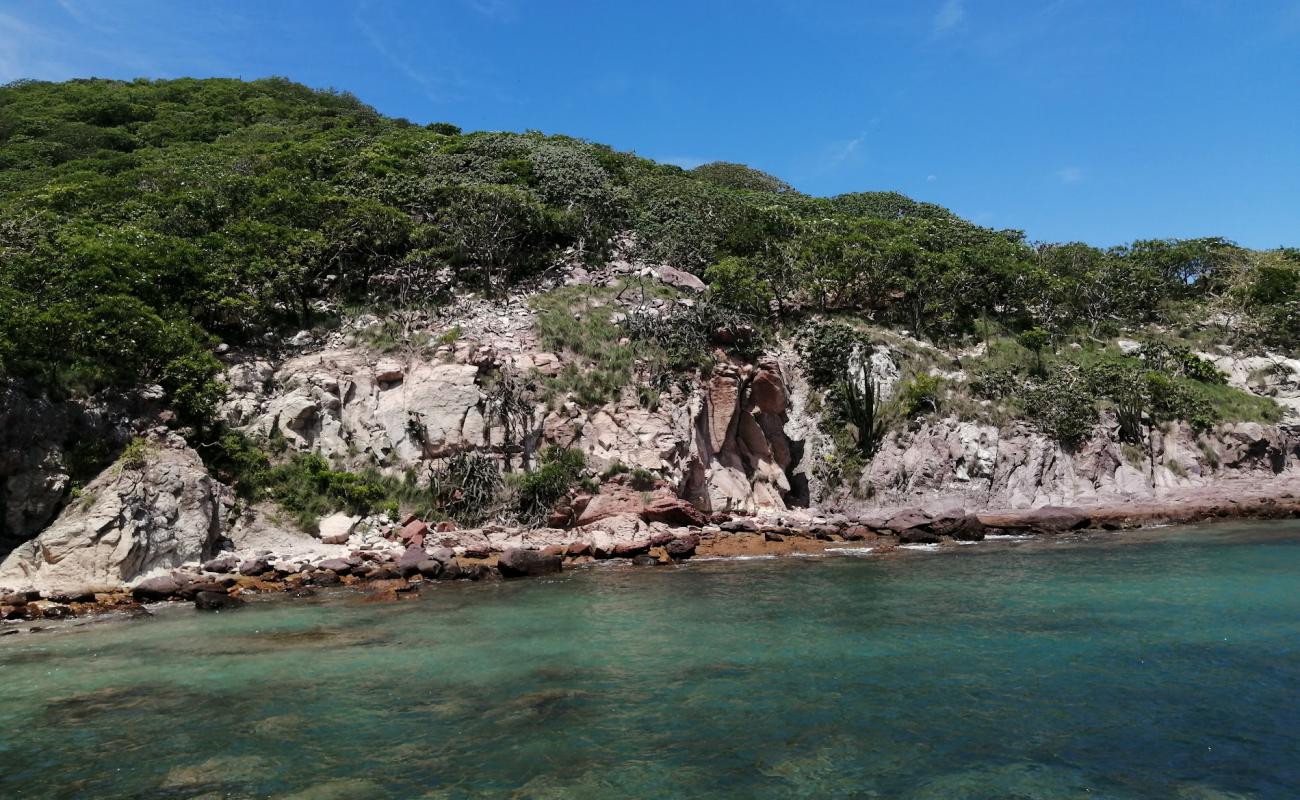 Foto de Pajaros beach con brillante arena fina superficie