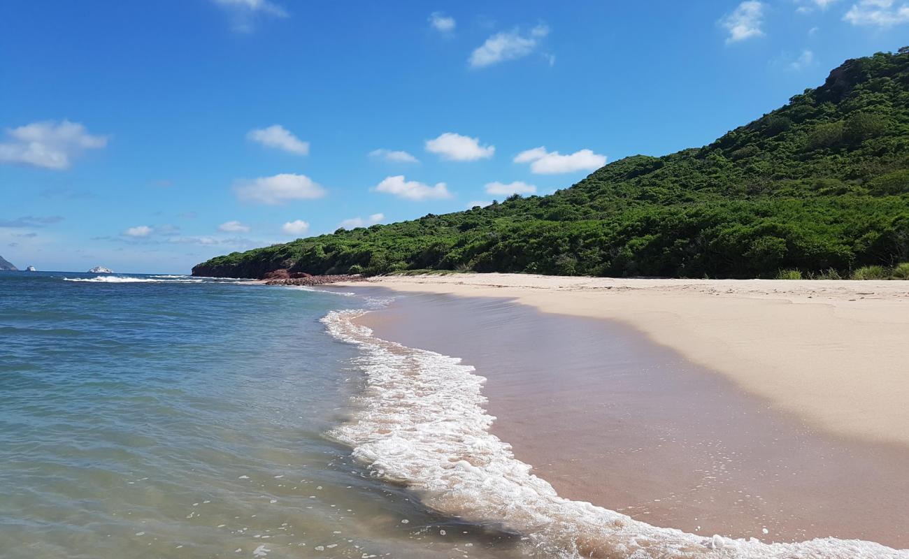 Foto de Venados beach con brillante arena fina superficie