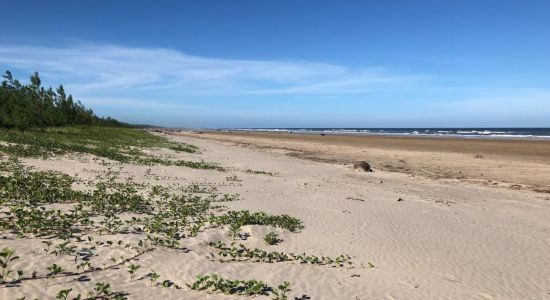 Zalala Beach