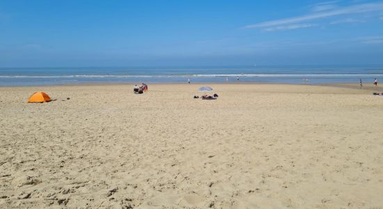 Playa de Wassenaarseslag