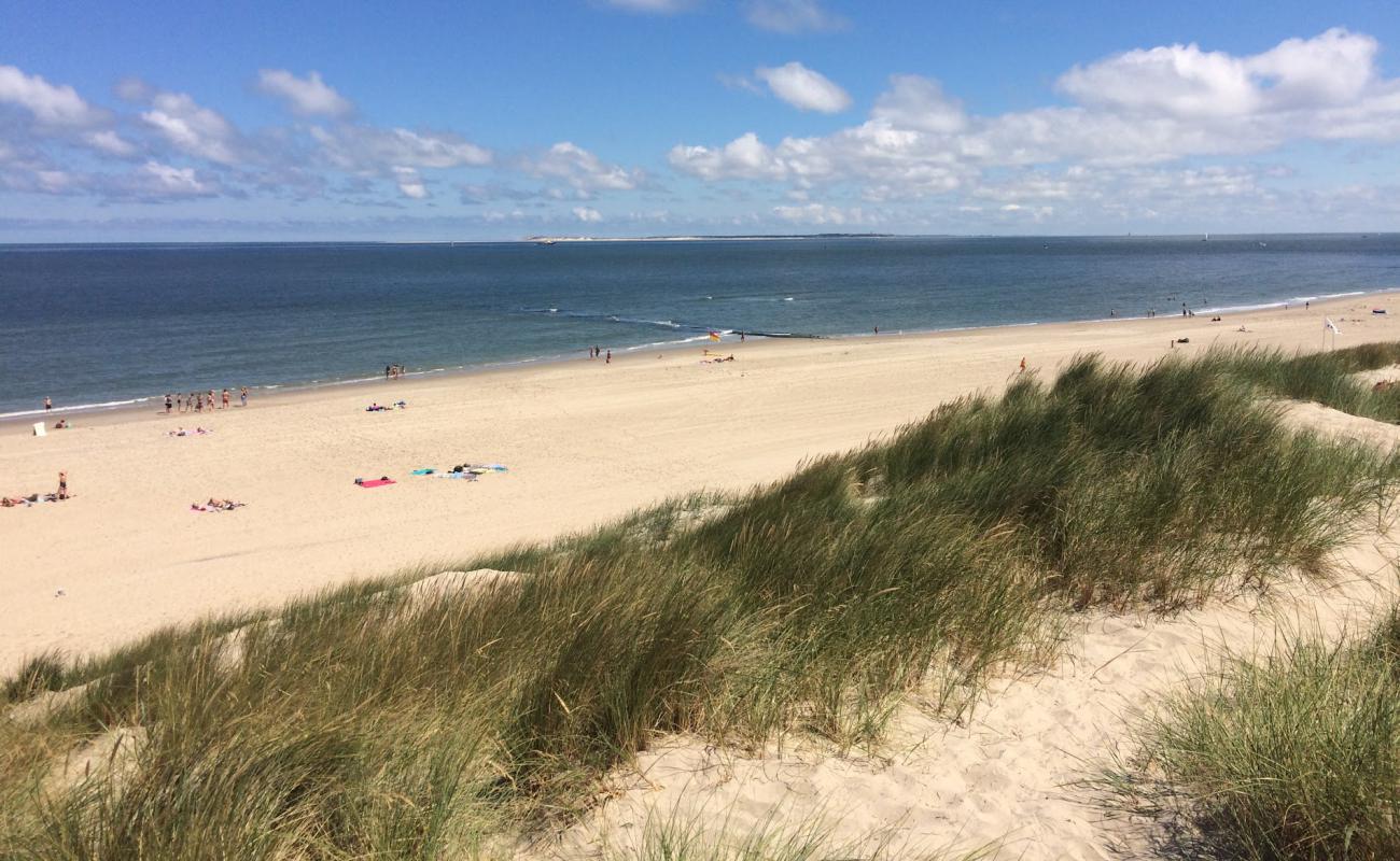 Foto de Vlieland beach con arena brillante superficie