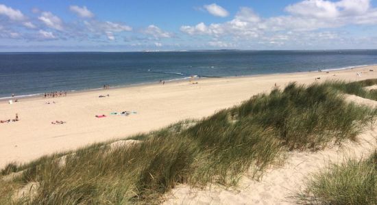 Vlieland beach