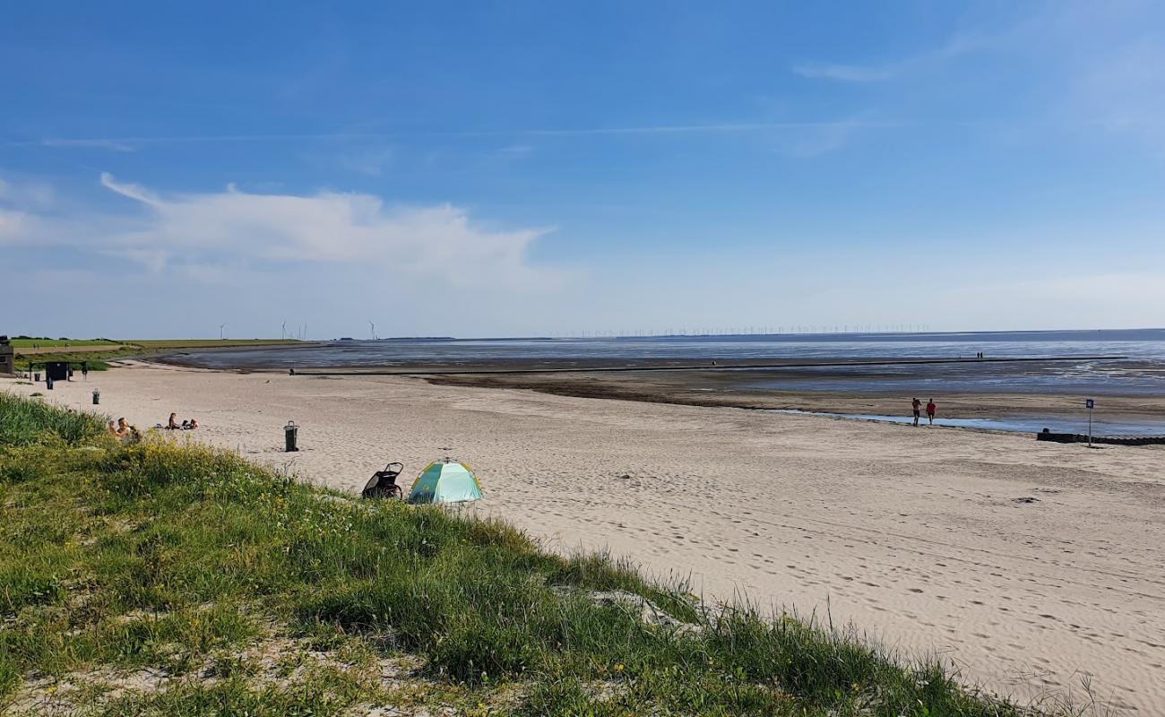 Foto de Playa de Harlingen con arena brillante superficie