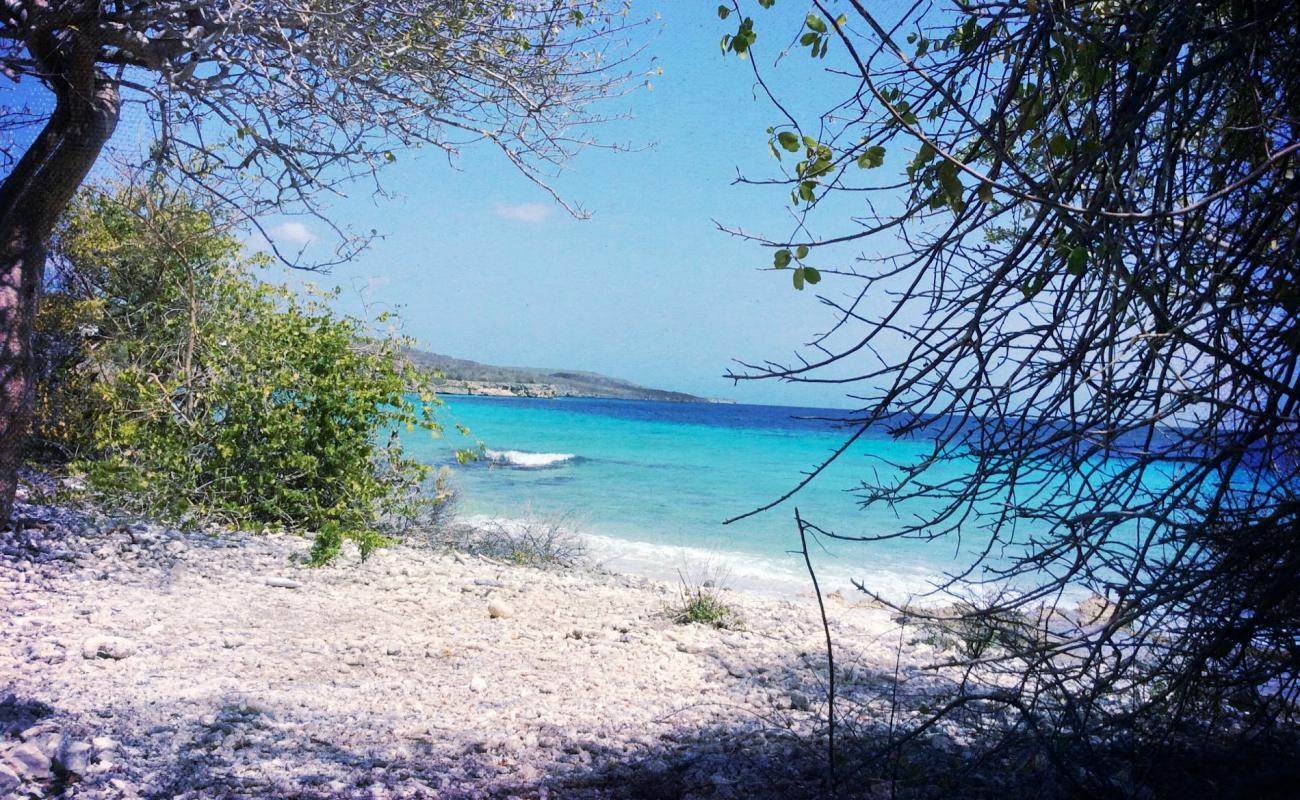 Foto de Playa Largu con arena fina y guijarros superficie