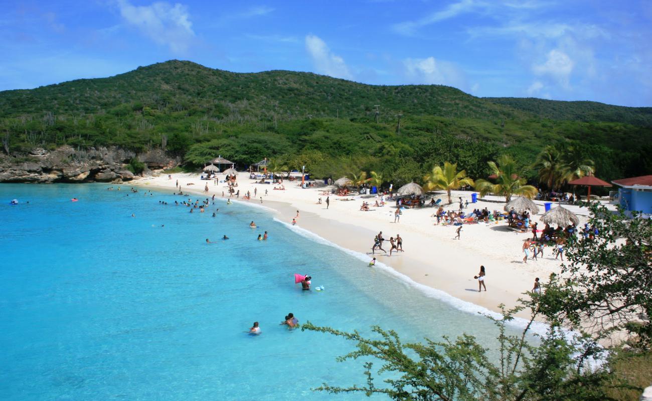 Foto de Playa Grote Knip con arena brillante superficie