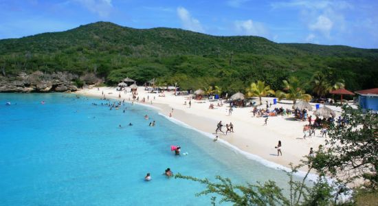 Playa Grote Knip