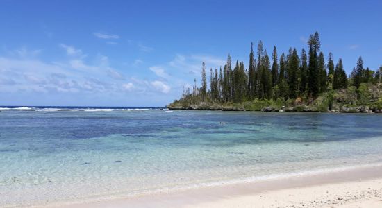 Baie Des Tortues