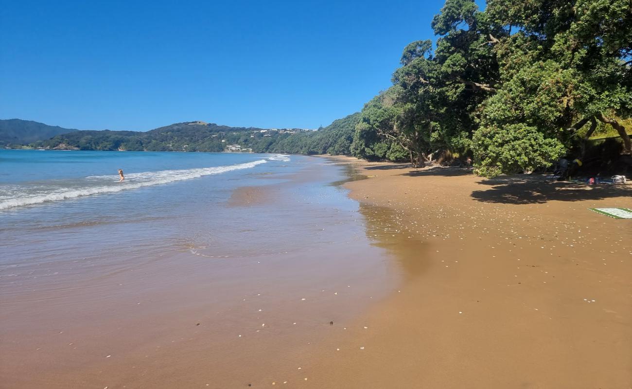 Foto de Coopers Beach con arena oscura superficie