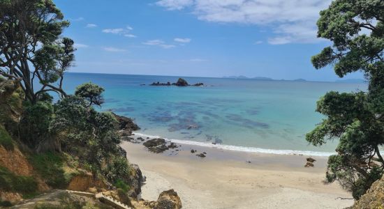 Kauri Mountain Beach