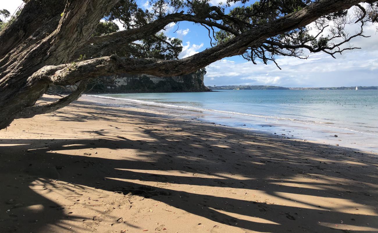 Foto de Pohutukawa Bay Beach con arena brillante superficie