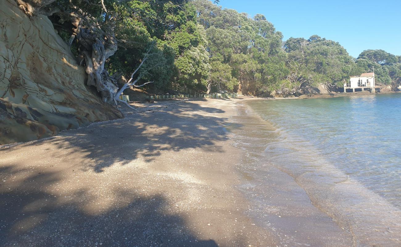 Foto de Shelly Reserve Beach con arena de concha brillante superficie