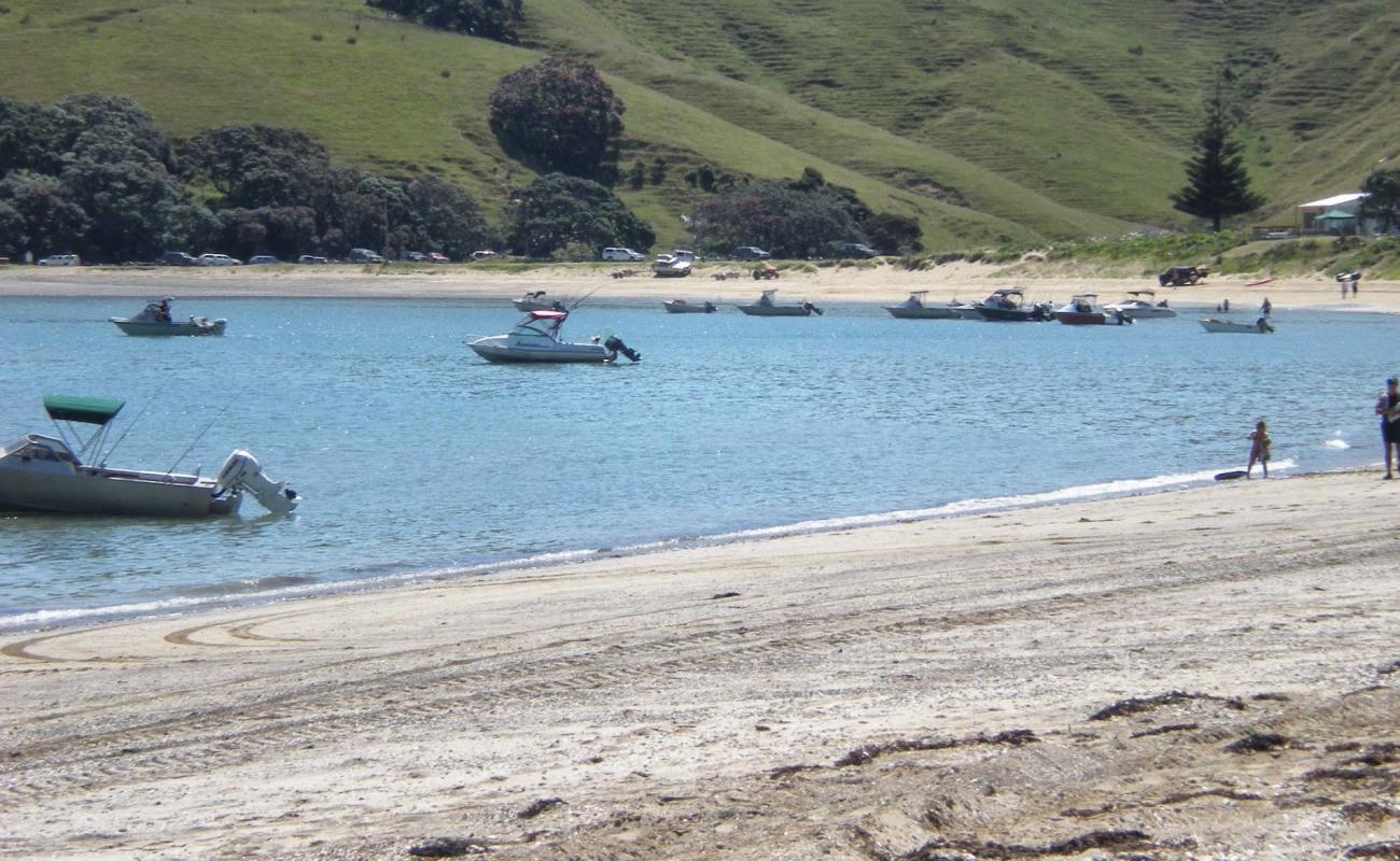 Foto de Otautu Bay con arena fina y guijarros superficie