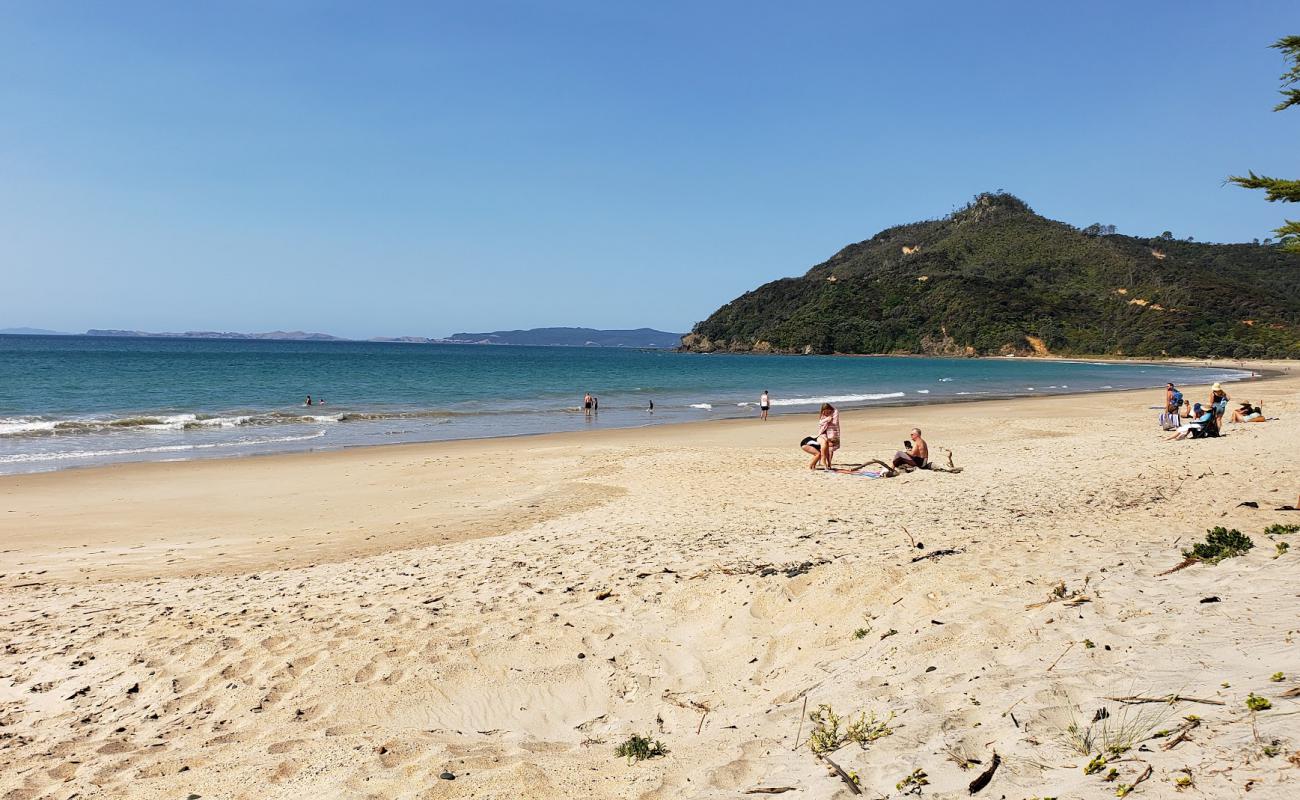 Foto de Kuaotunu Beach con arena brillante superficie