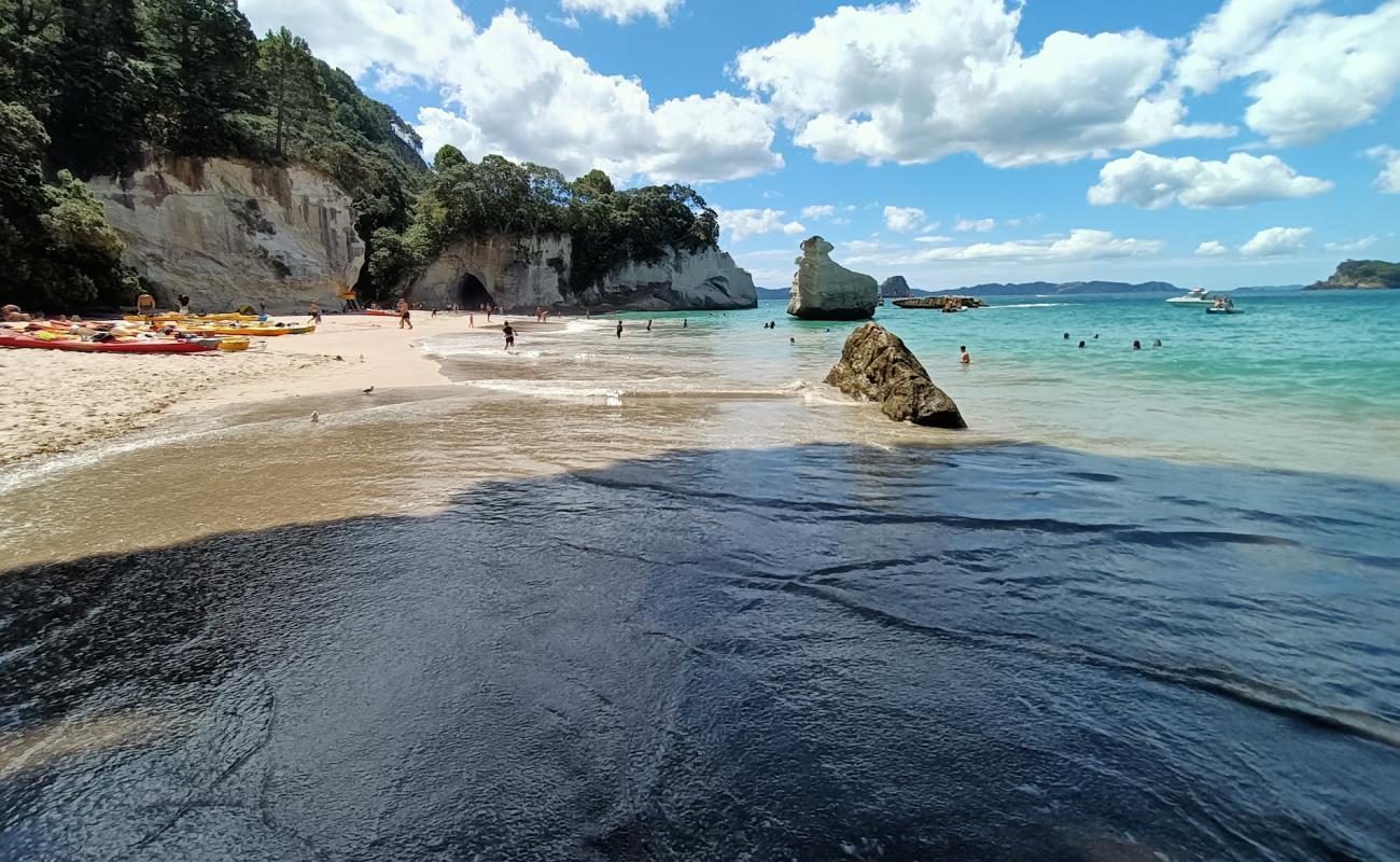 Foto de Cathedral Cove Beach con brillante arena fina superficie