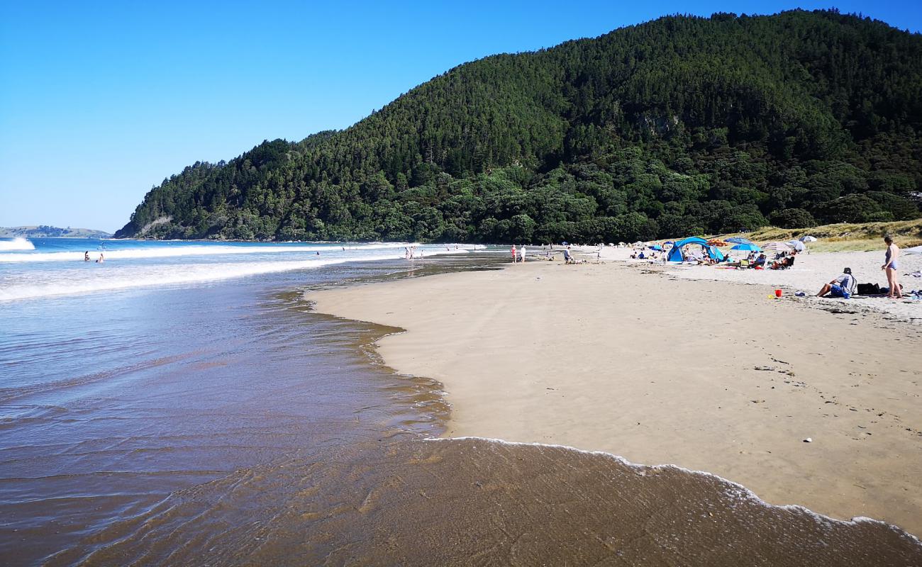 Foto de Pauanui Beach con arena brillante superficie