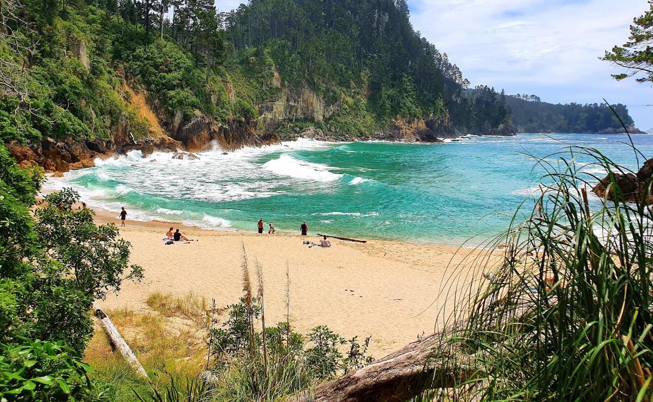 Foto de Pokohino Beach con arena brillante superficie