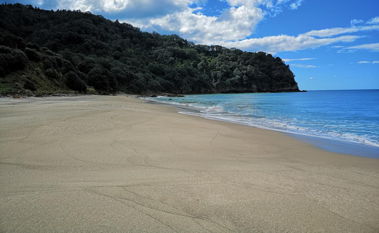 Foto de Homunga Beach con arena brillante superficie