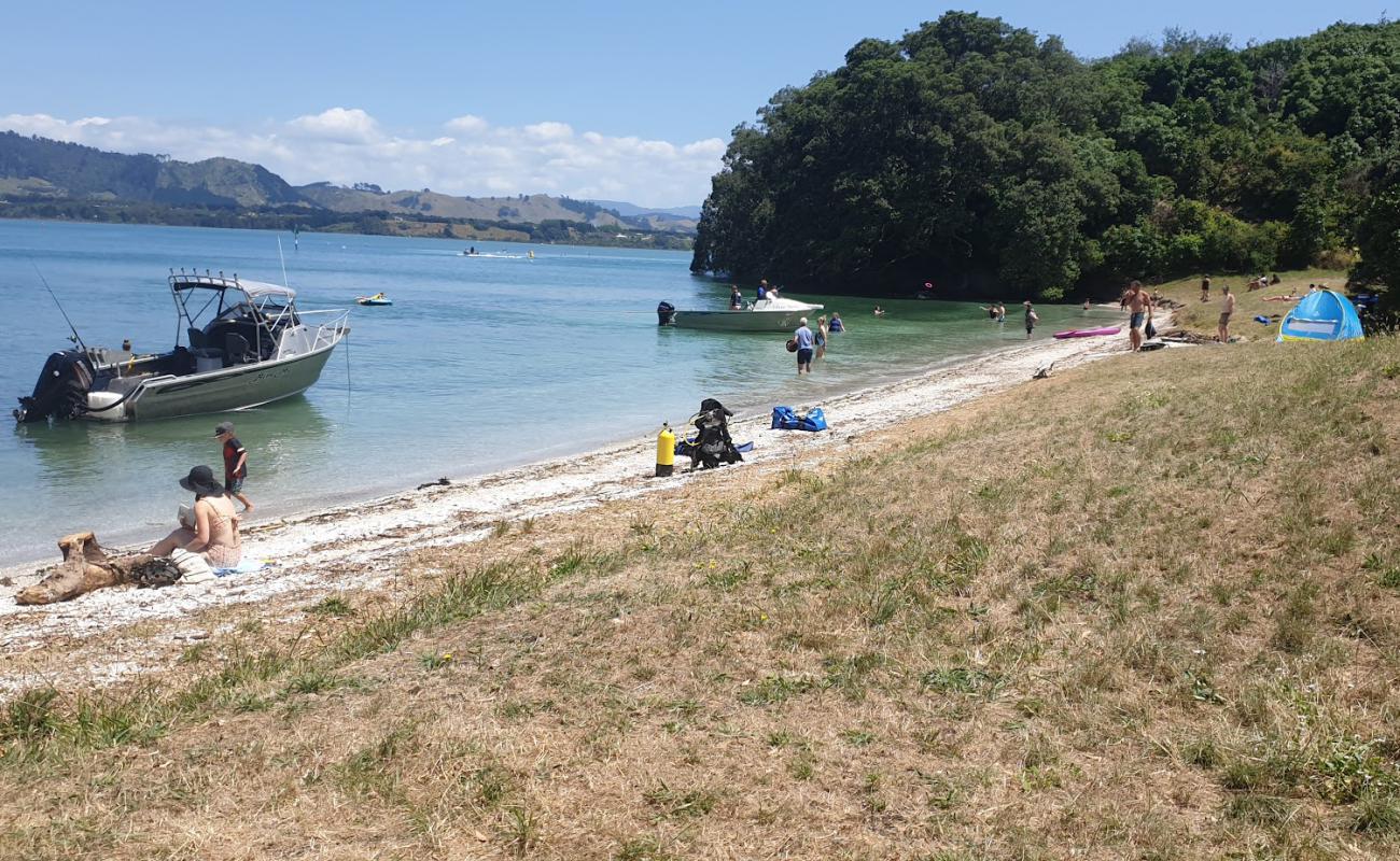 Foto de Shelly Bay con arena de concha brillante superficie