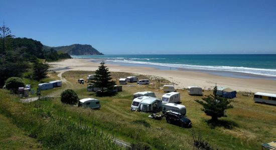 Waihau Bay Beach