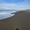 Napier Beach